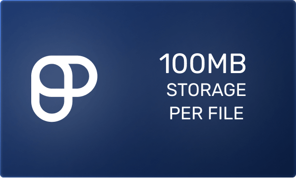 100MB storage per file<