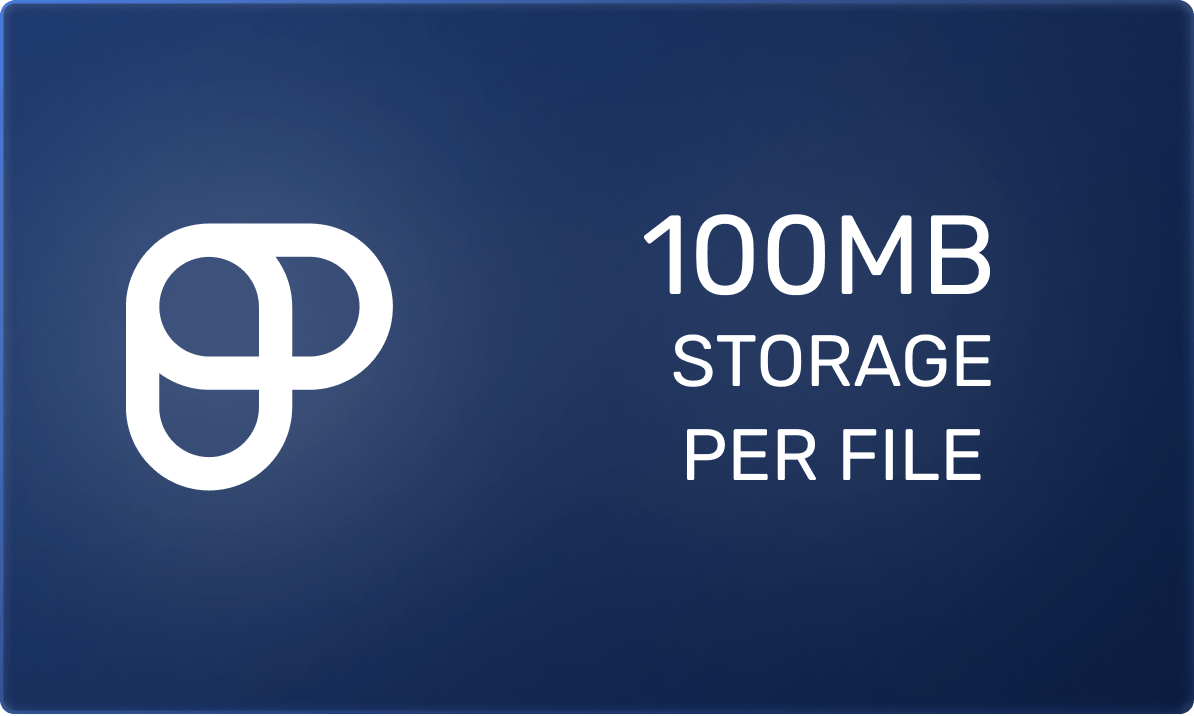 100MB storage per file<