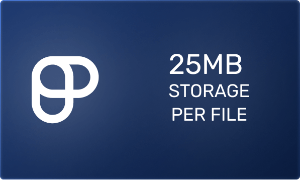 25MB storage per file