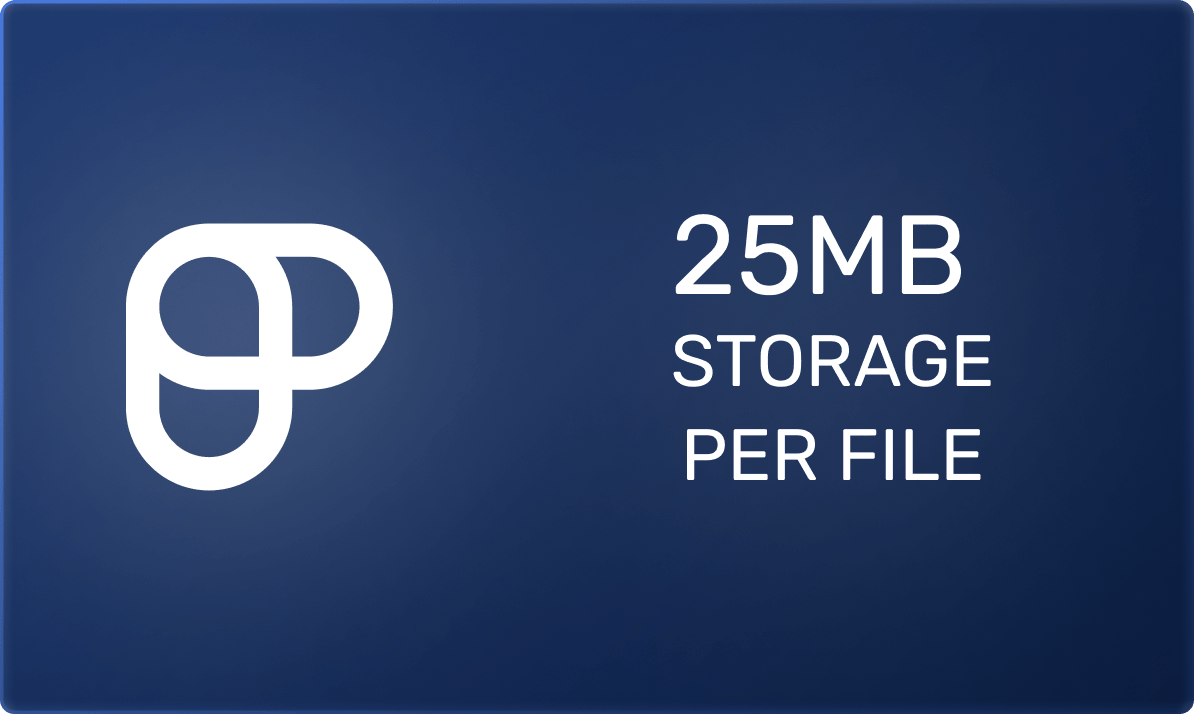 25MB storage per file