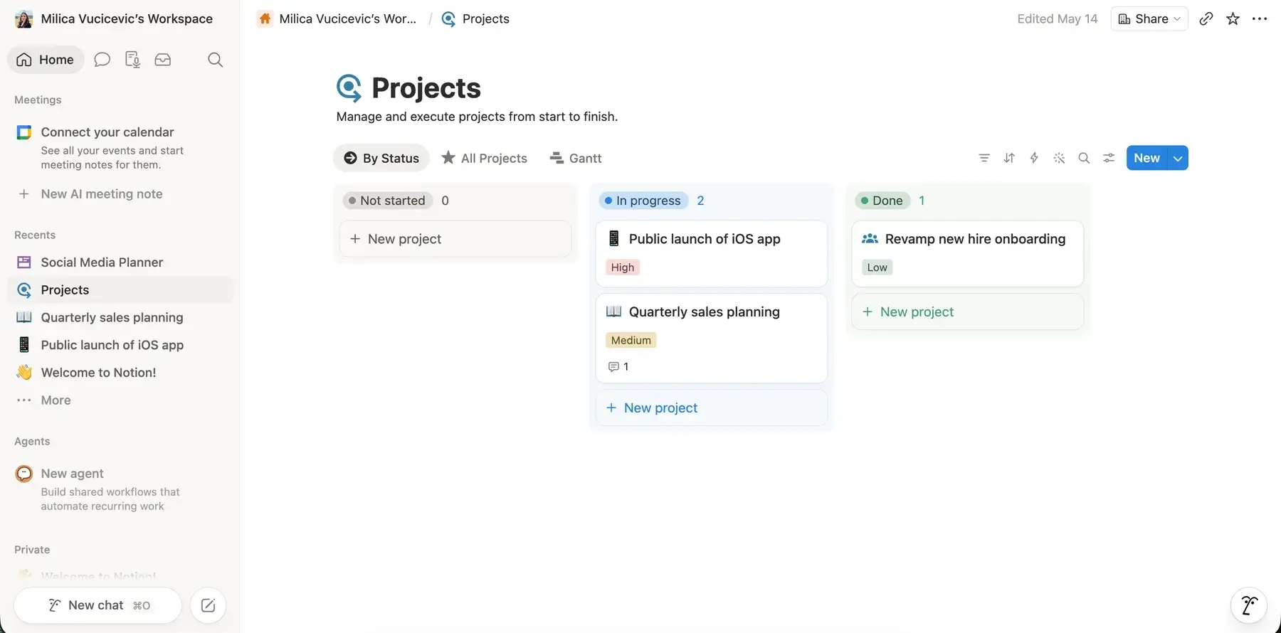 Notion project overview