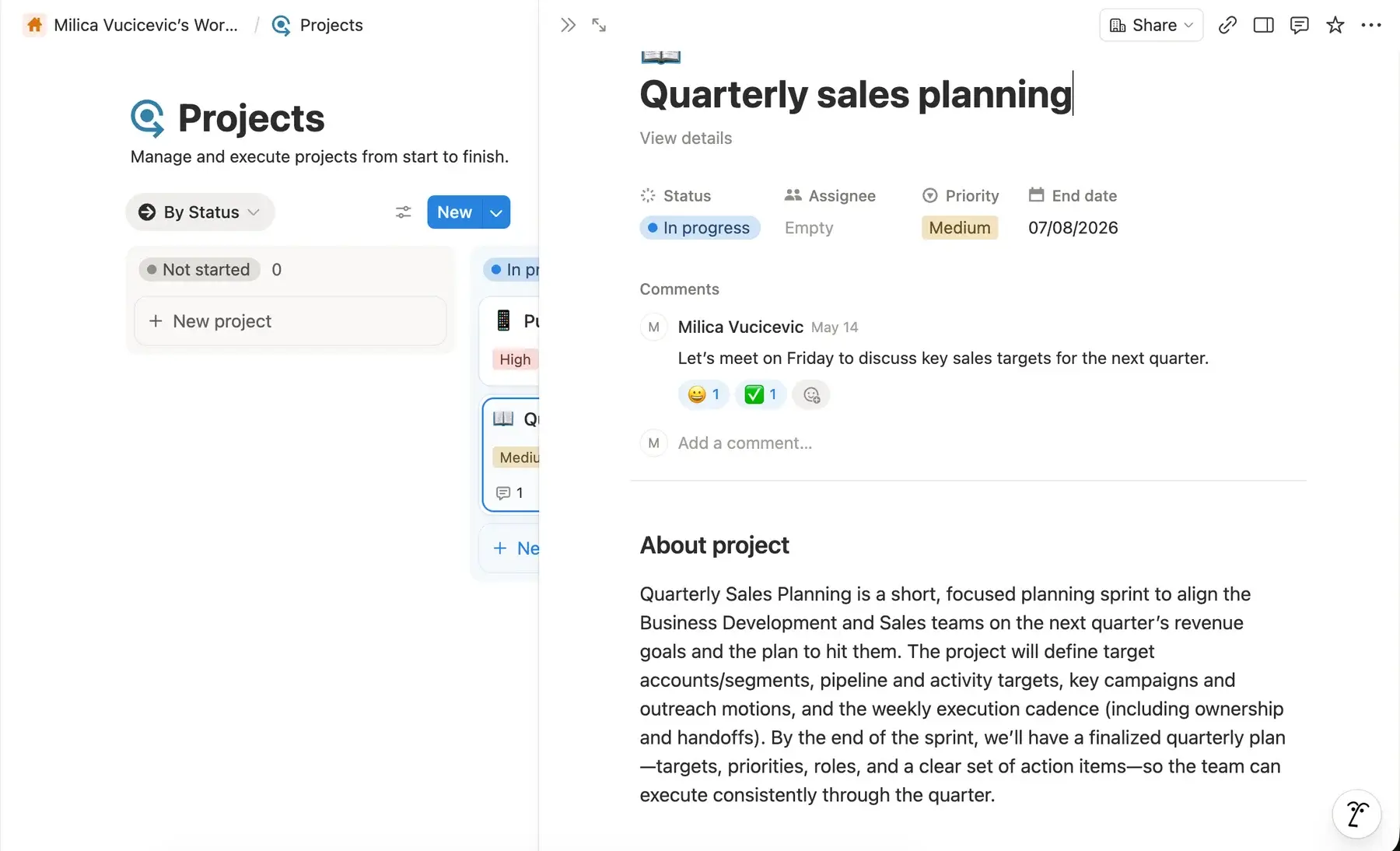 Project details in Notion