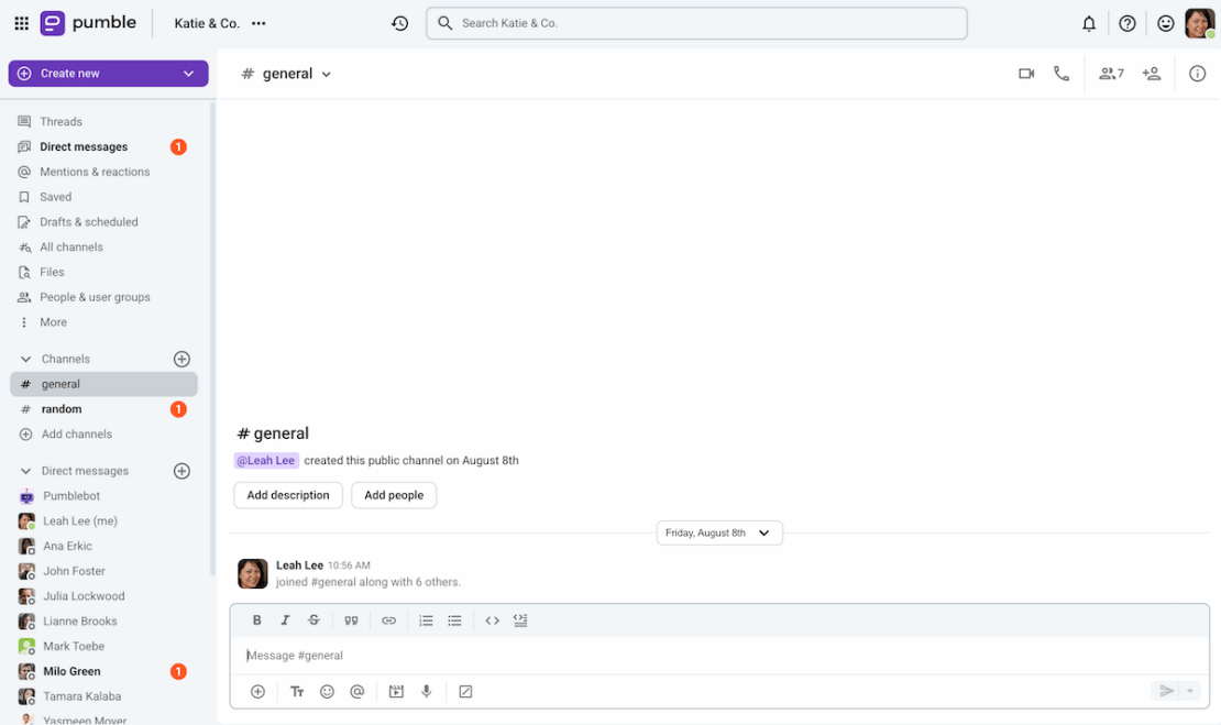 Channels and DMs in Pumble