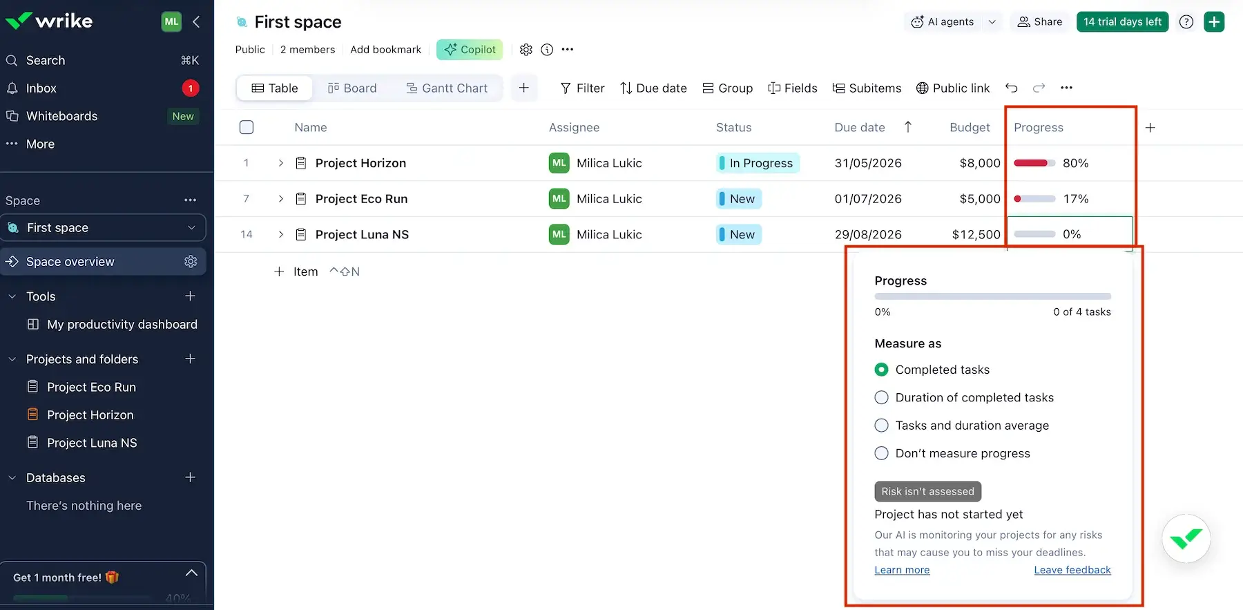 Tracking project progress in Wrike