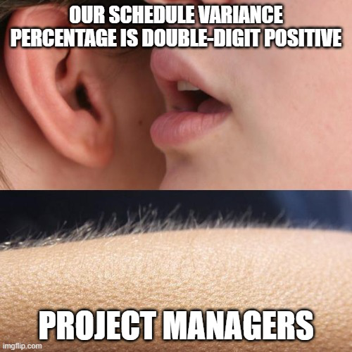Goosebumps project management meme