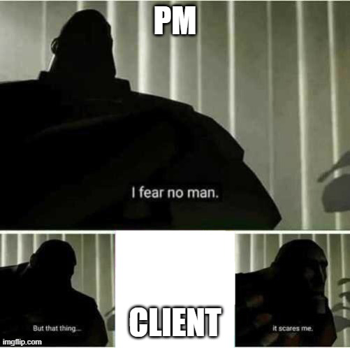 It scares me project management meme