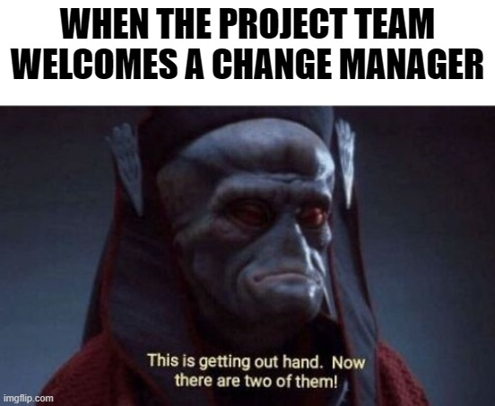 Now there are two of them project management meme