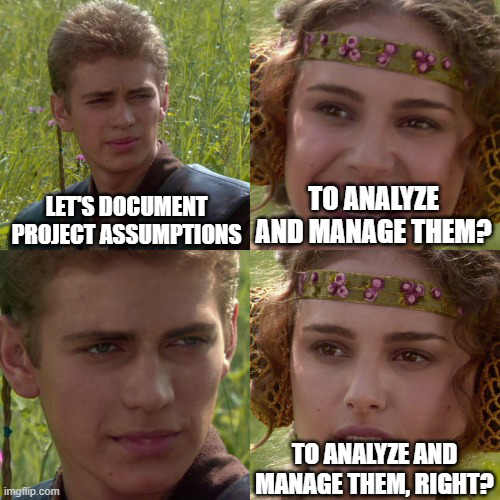 Project assumption management meme