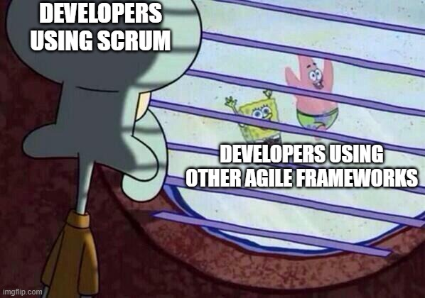 Scrum developer envy meme