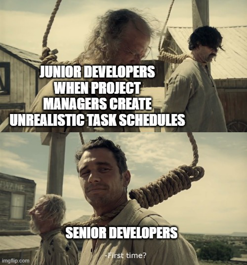 Senior and junior developers project management meme