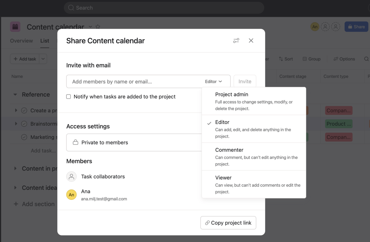 Setting up project access in Asana
