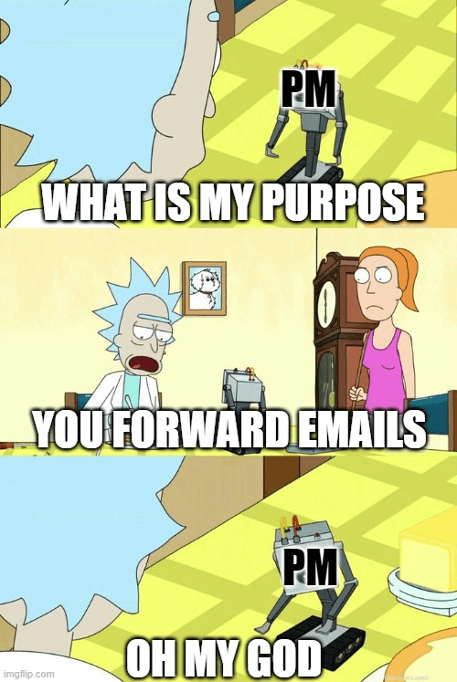 What is my purpose project management meme