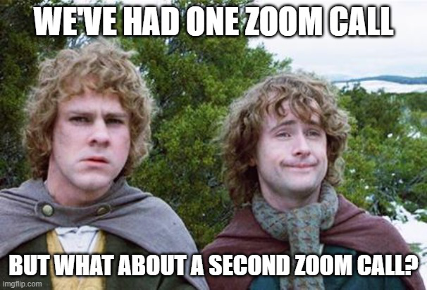 Zoom calls project management meme