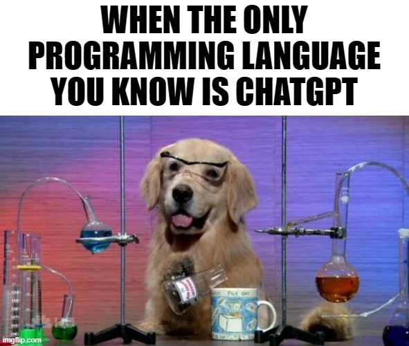 Chat GPT programming language