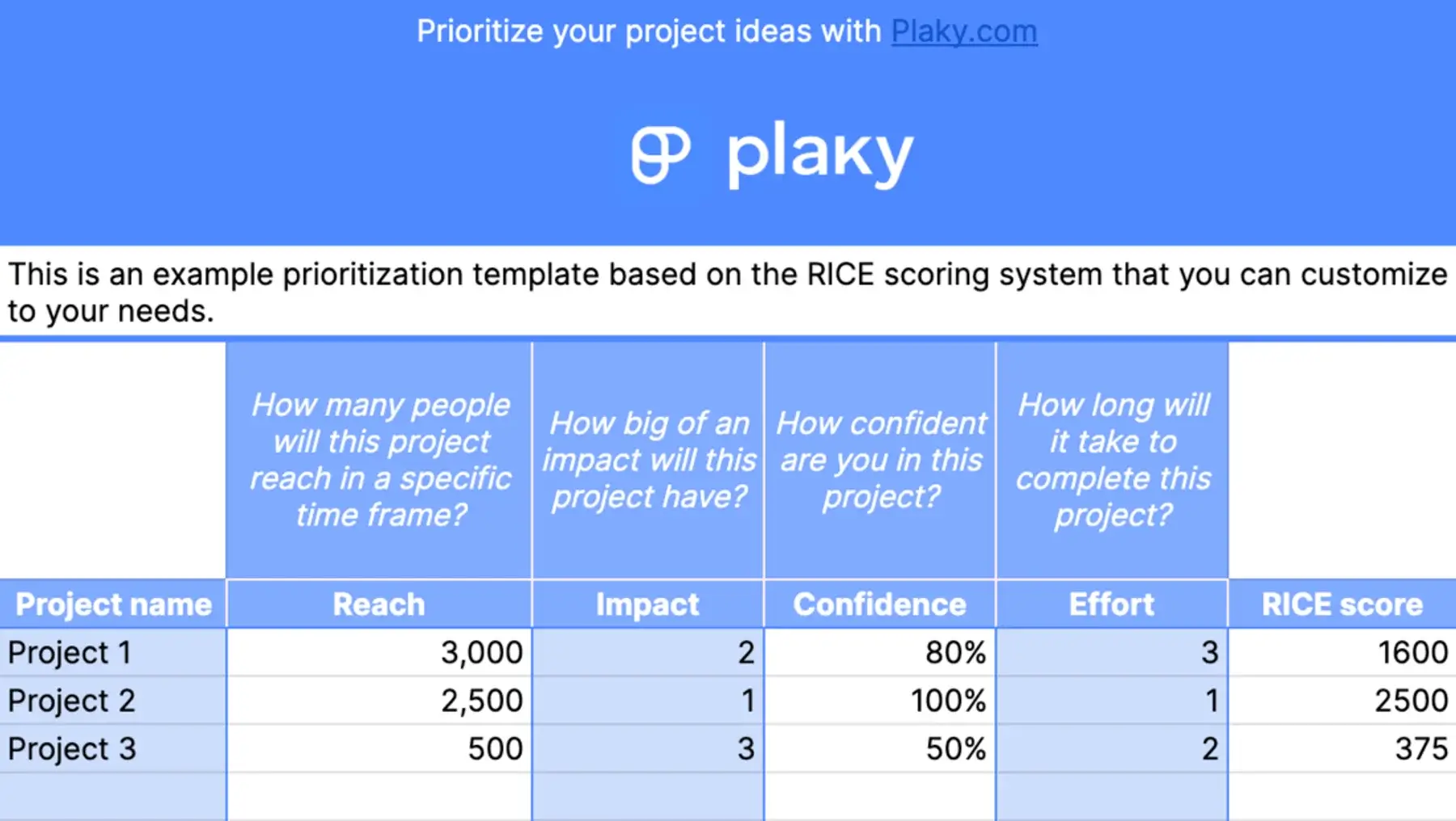 Plaky’s RICE framework template