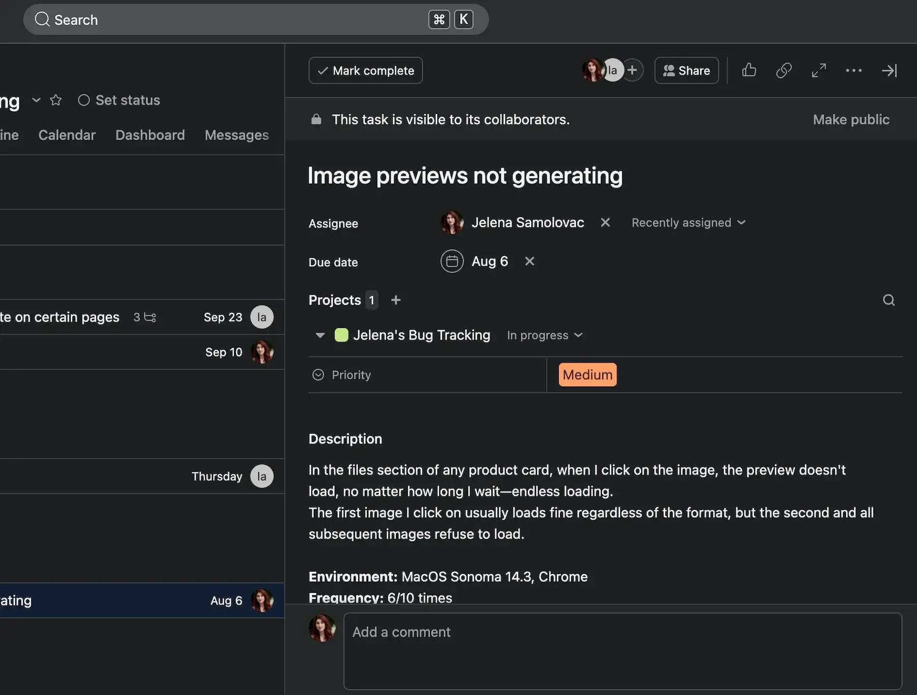 Bug report details in Asana