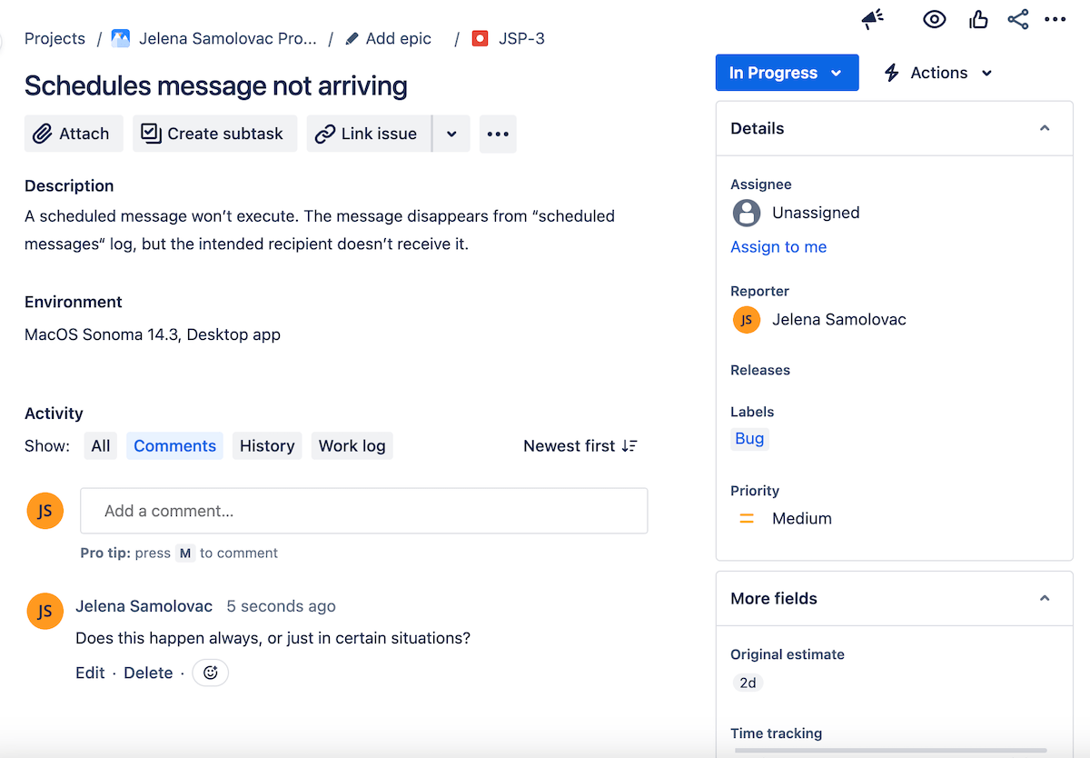 Bug report details in Jira