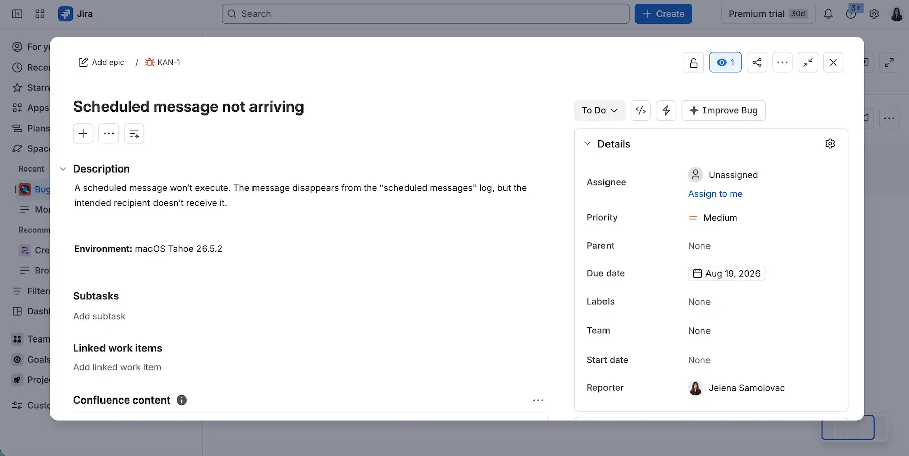 Bug report details in Jira