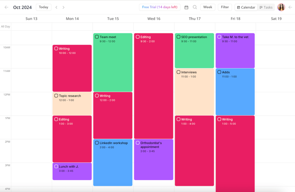 Daily tasks shown in the form of a calendar in Ellie Planner daily task planner