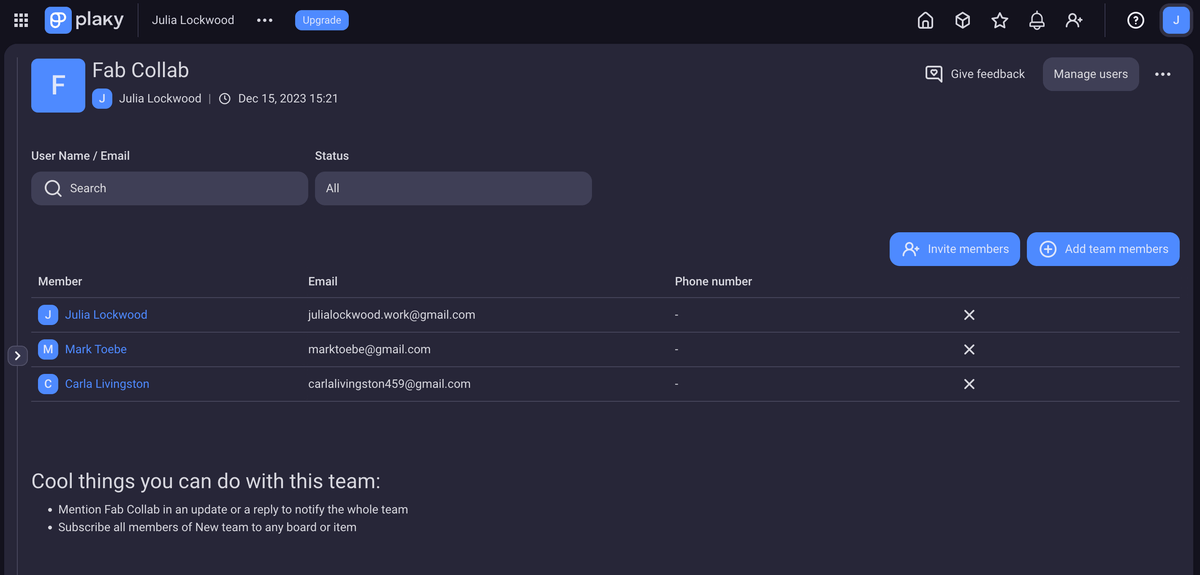 The process of creating a team in Plaky project management software