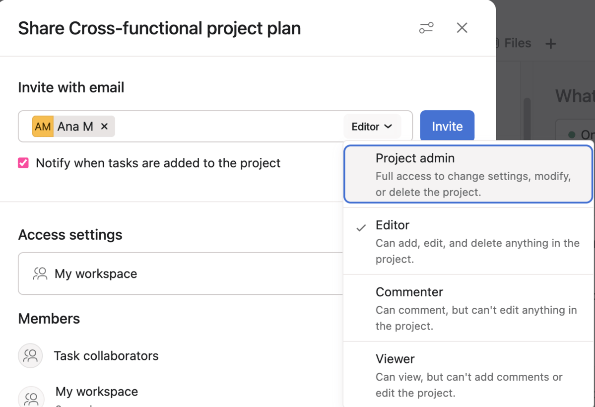 Project access settings in Asana project management software