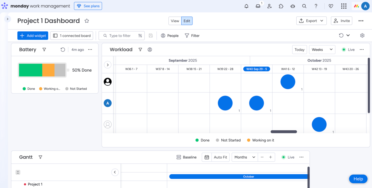 Project dashboard in monday.com 

