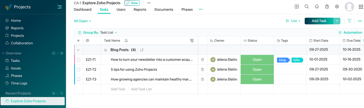 Project interface in Zoho Projects software