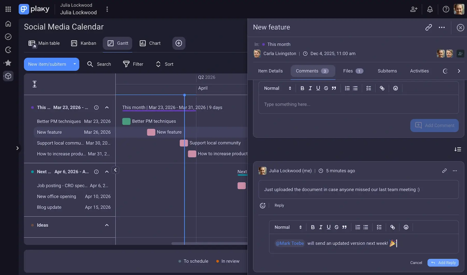 A task with details and comments in Plaky