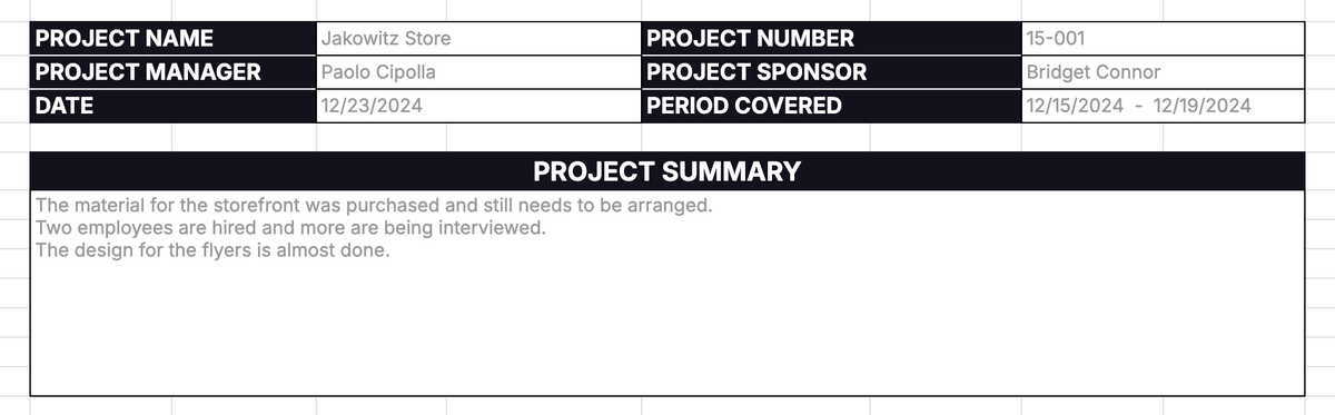 Project status report example of basic information and summary
