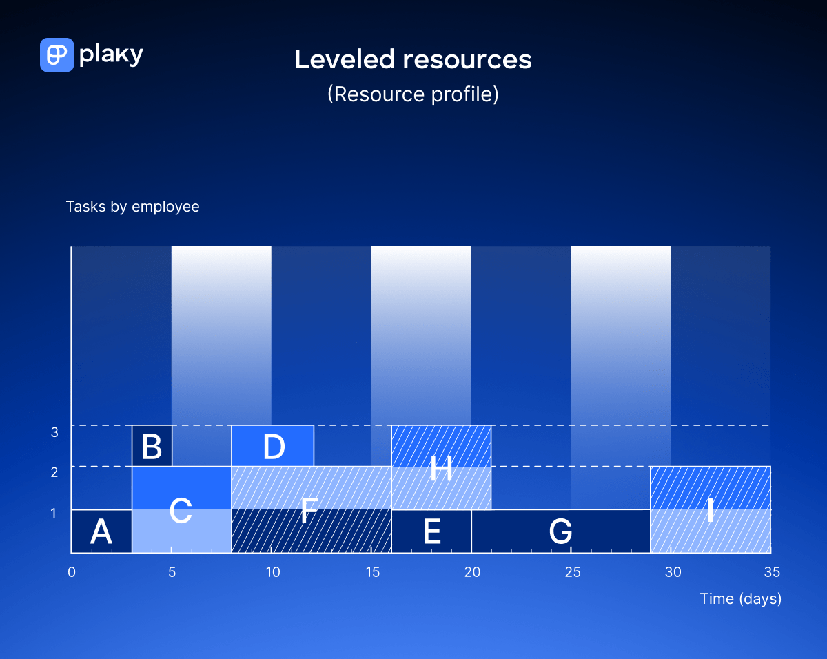 Critical path resource profile with leveled resources