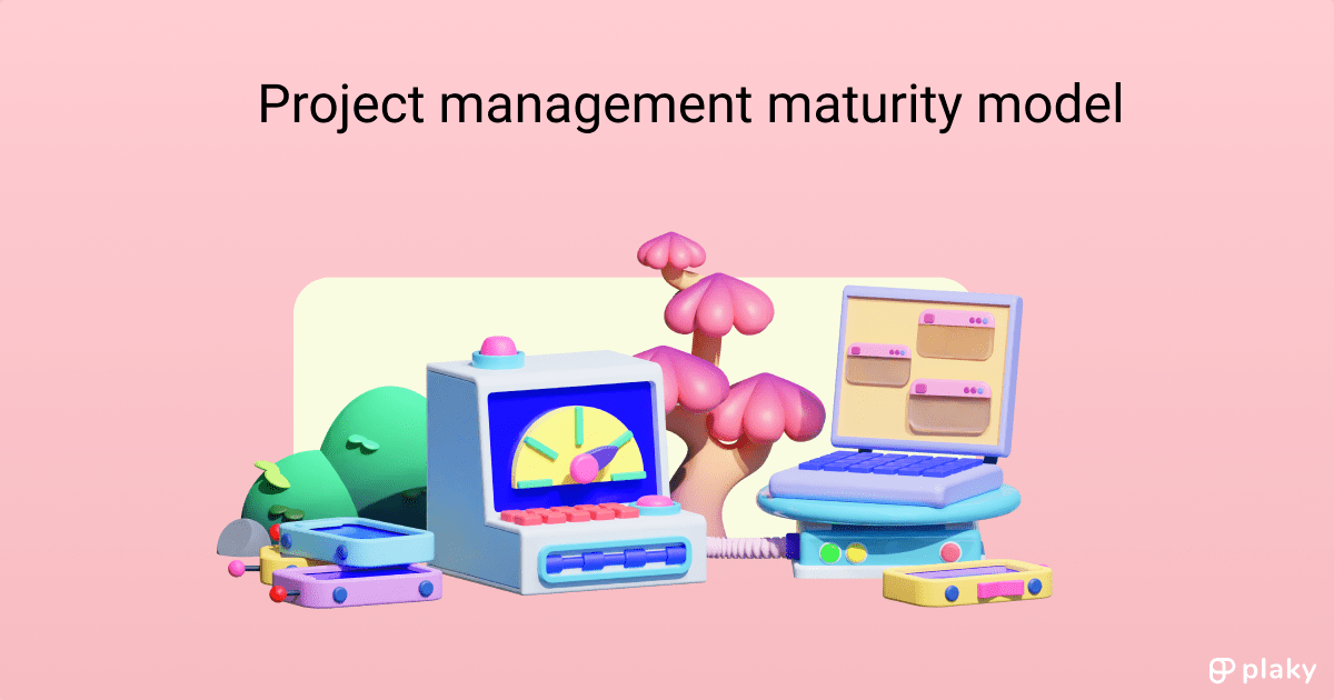 Project Management Maturity Model (PMMM) Guide