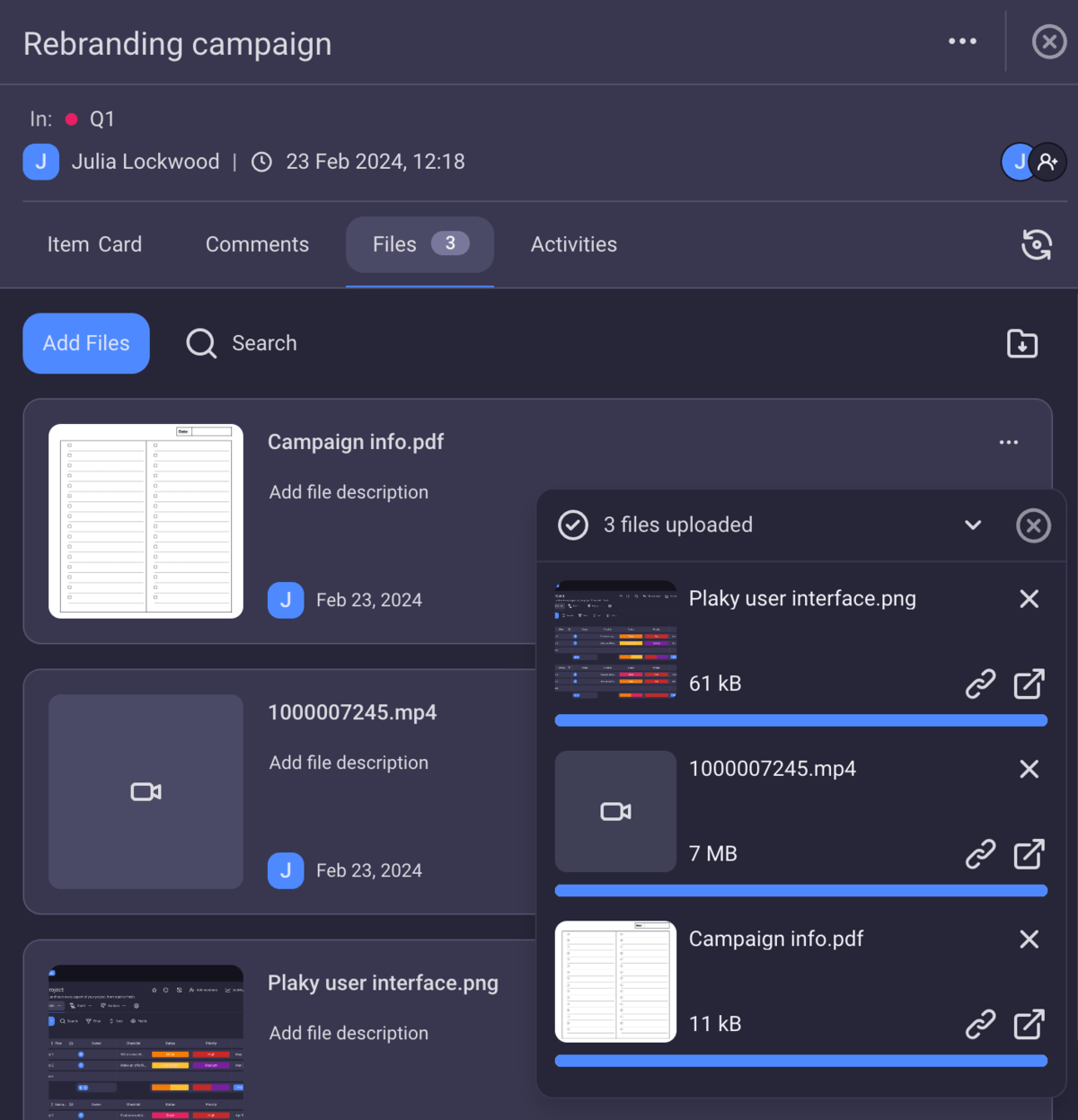 File sharing in Plaky