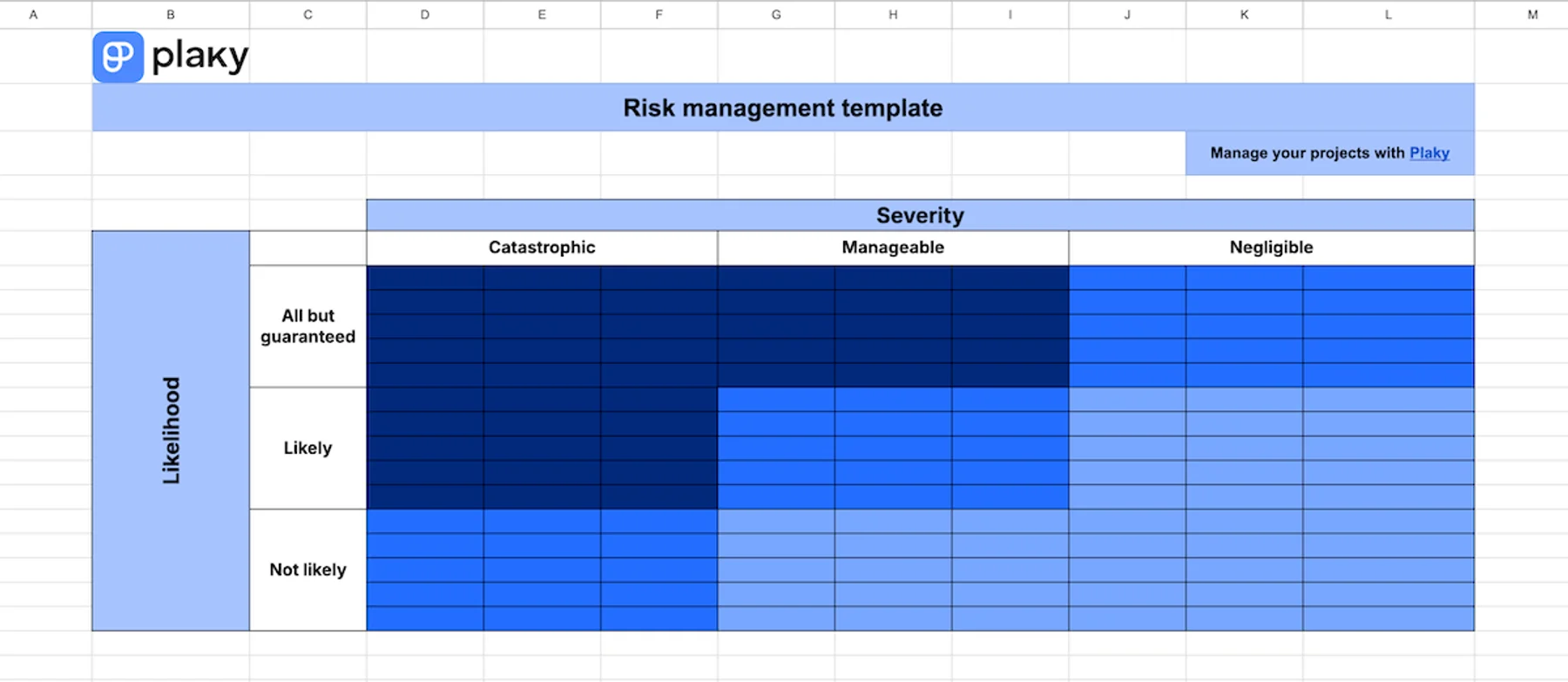 Risk management template