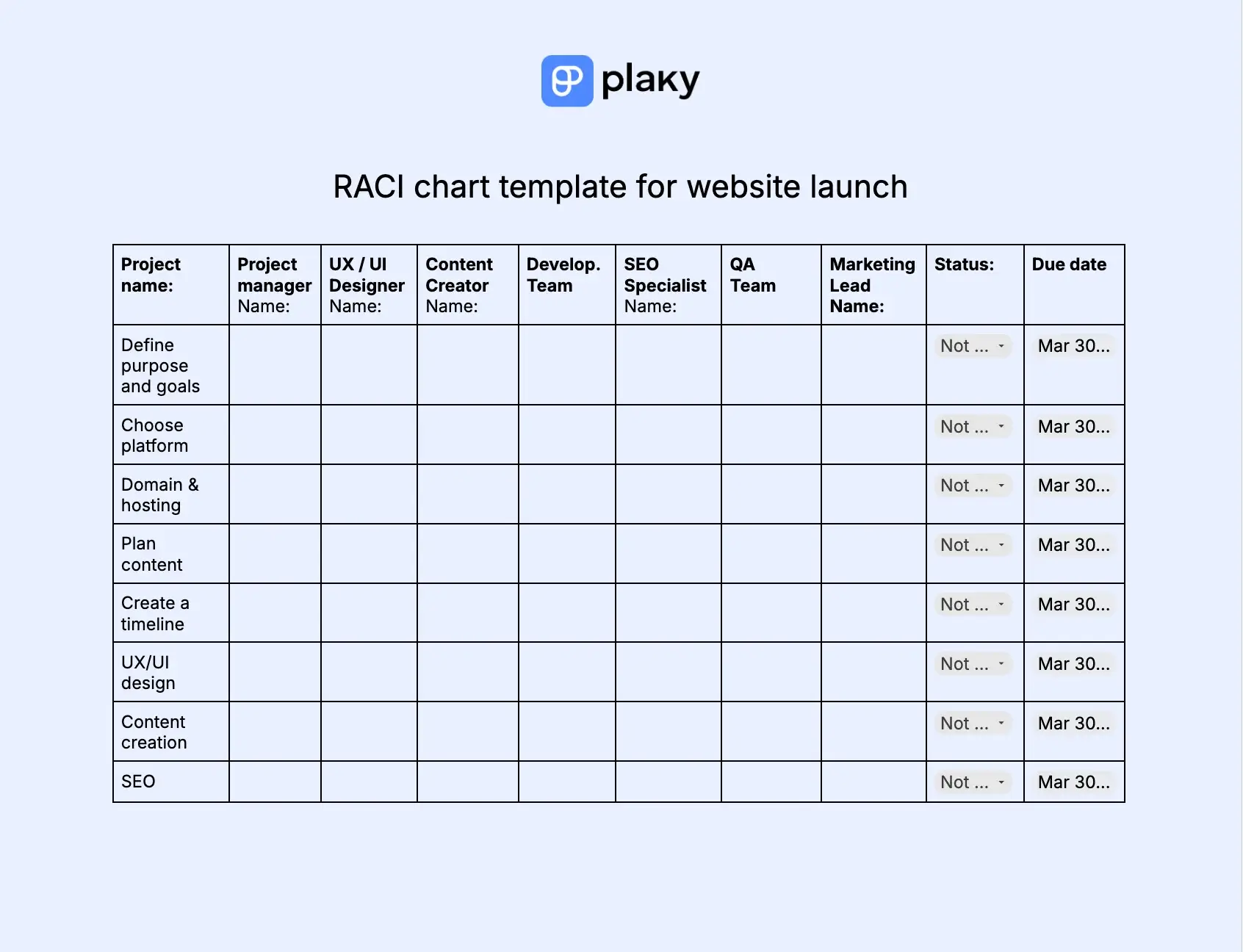 RACI chart template for website launch