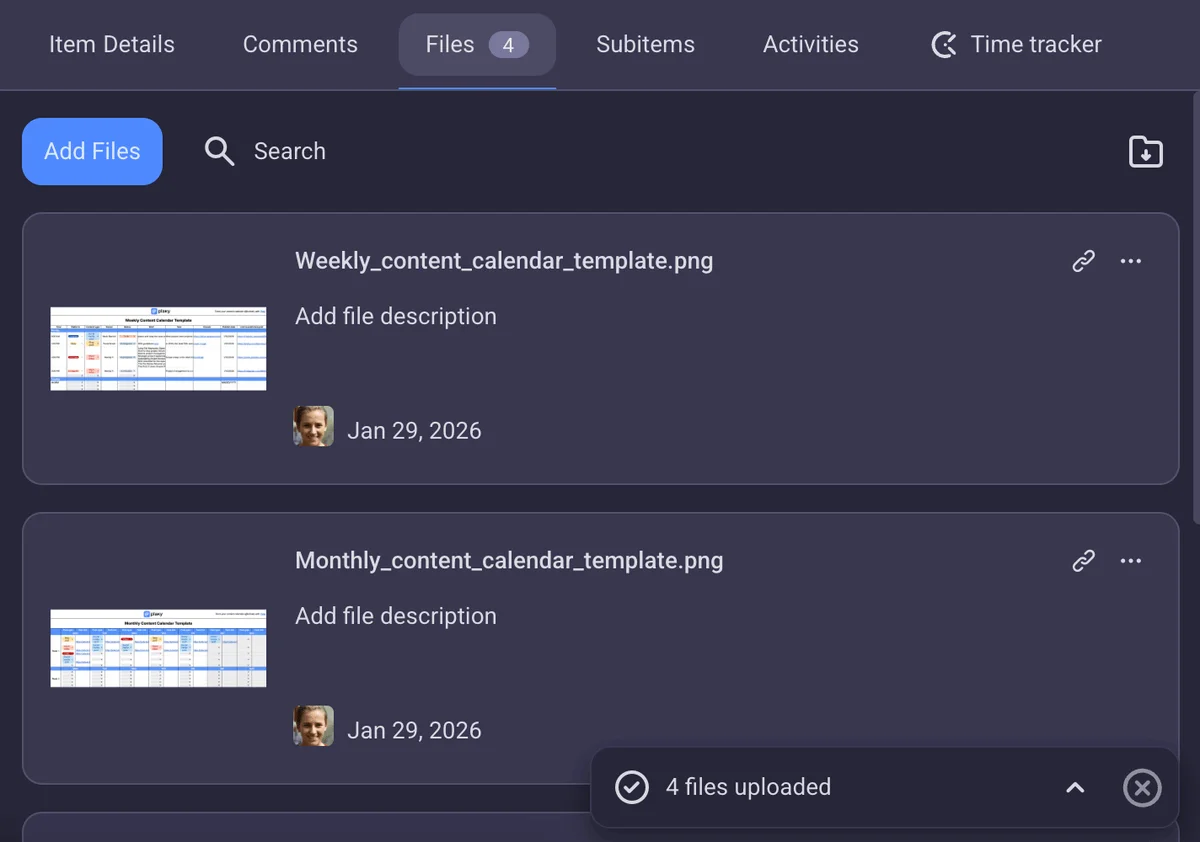 File sharing in Plaky