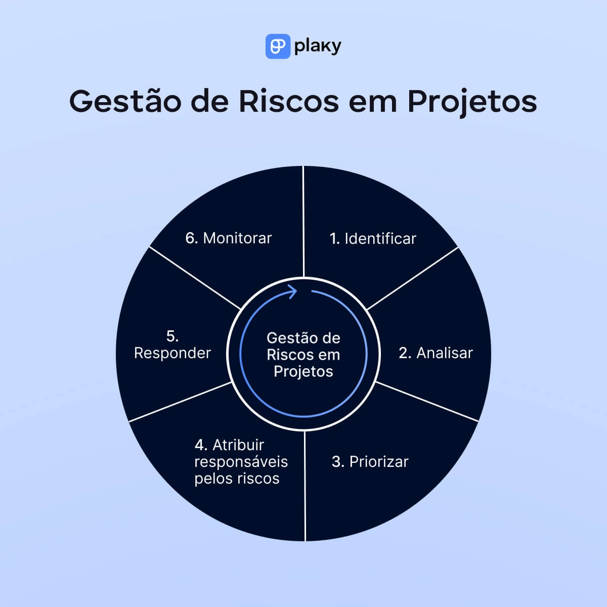 Risk management process steps